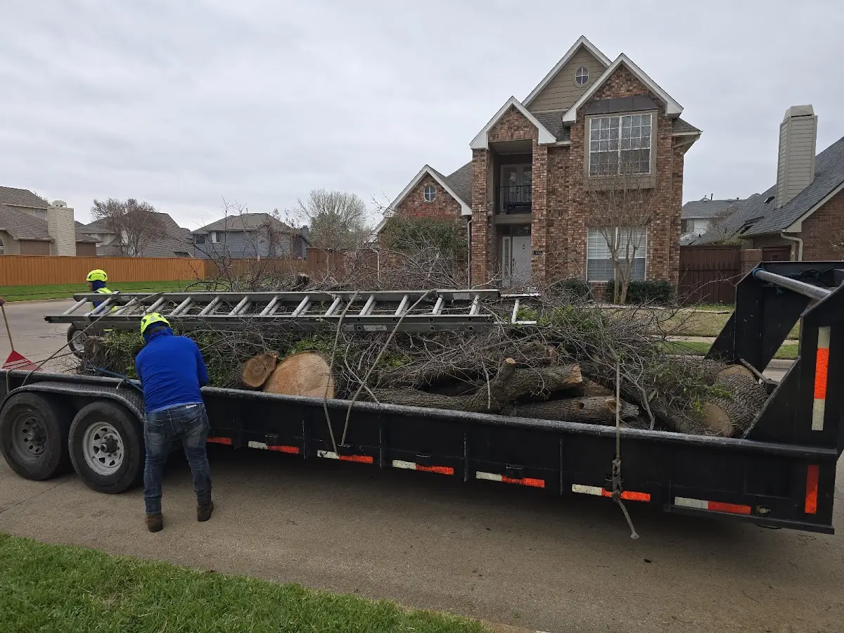Expert Lot Clearing with proper safety equipment in Altus Afb